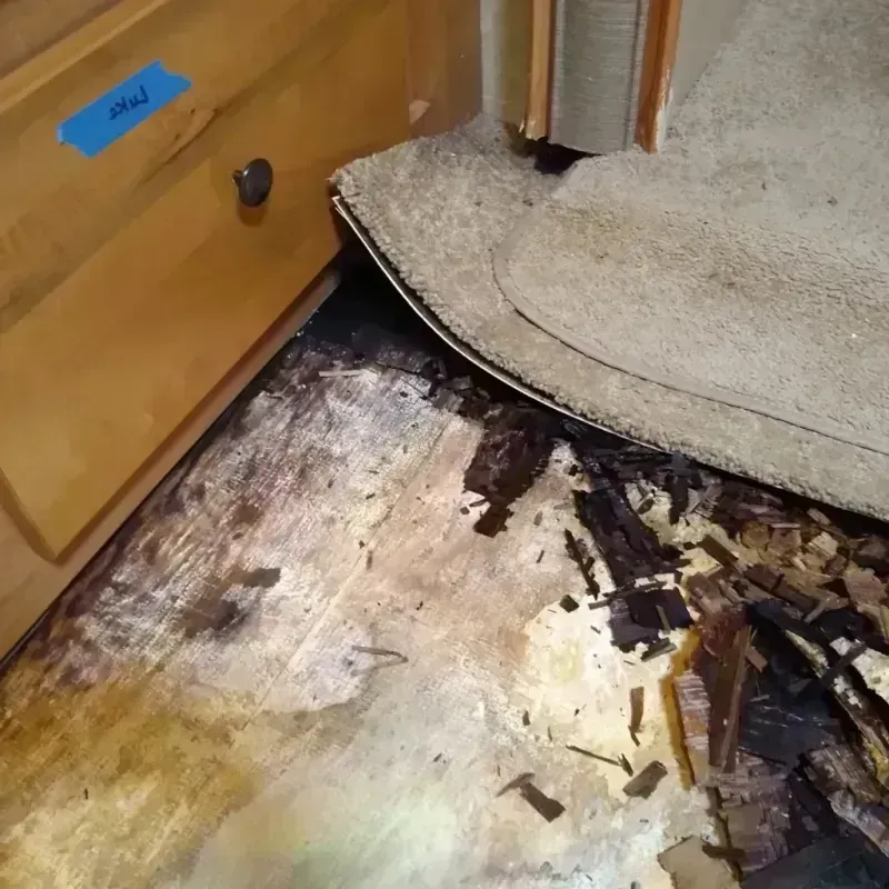 Wood Floor Water Damage in Owings, MD